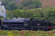 LNER class B1
